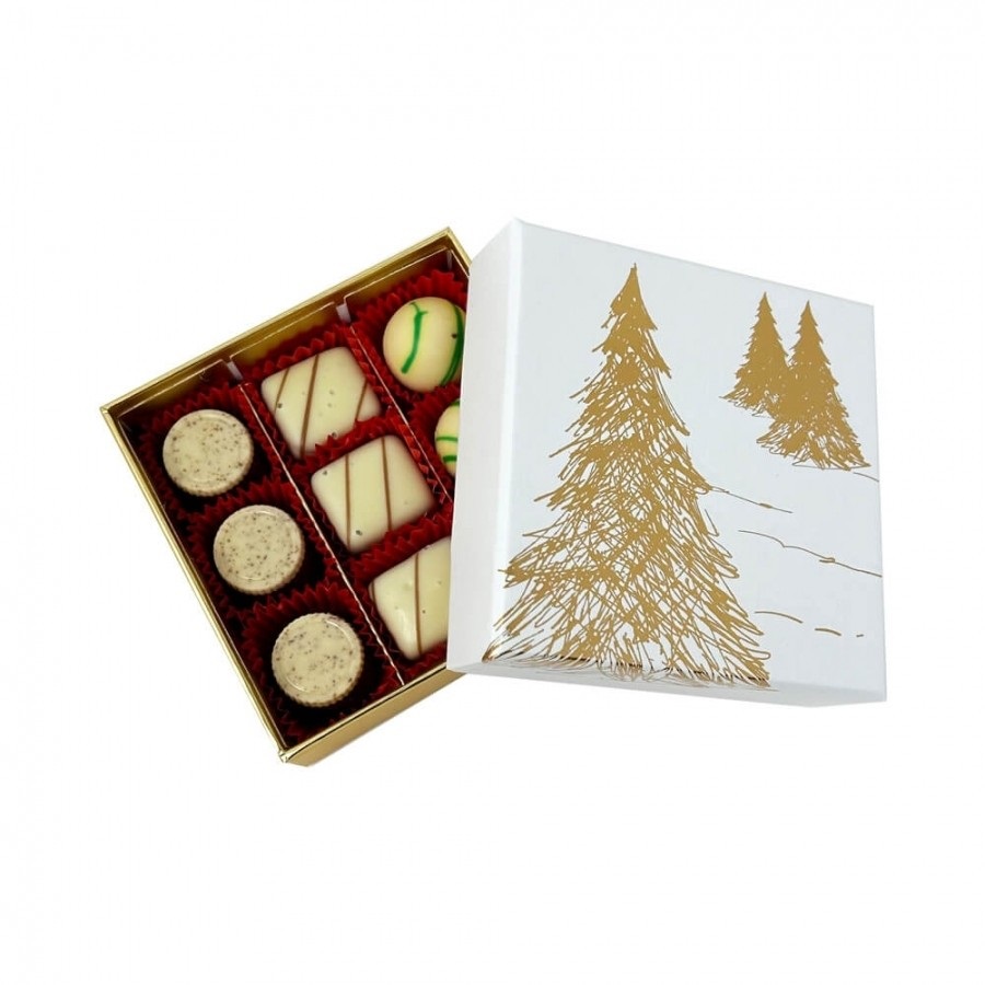 PRALINE BELGIENE VALENTINO MISTY FOREST BOX 110G