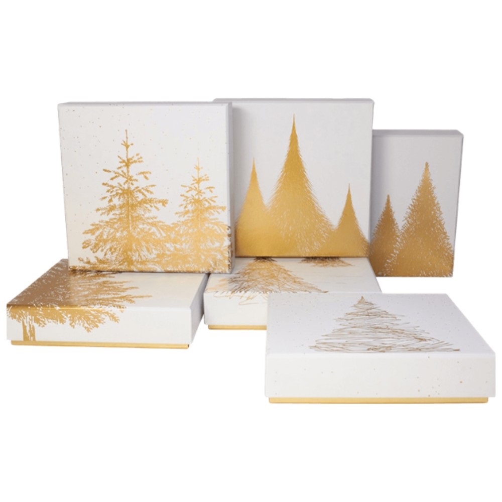 PRALINE BELGIENE VALENTINO MISTY FOREST BOX 110G